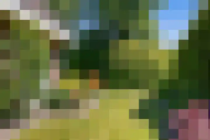 Bleijenbeek 47 Roden thumbnail 5
