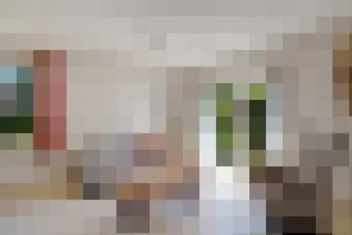 Bleijenbeek 47 Roden thumbnail 9