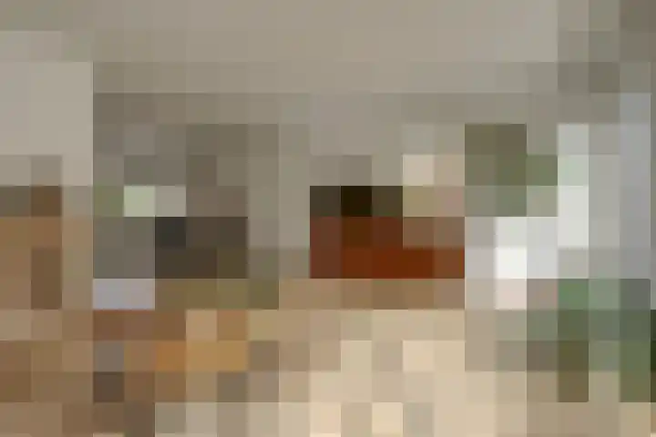 Bleijenbeekhof 32 Arnhem thumbnail 10