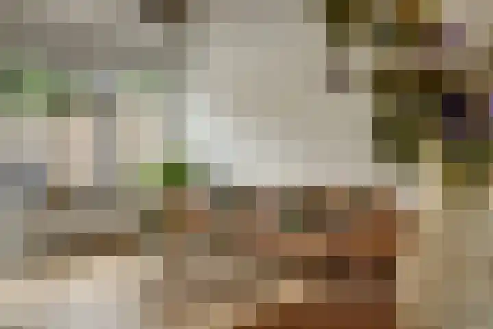 Bleijenbeekhof 32 Arnhem thumbnail 12