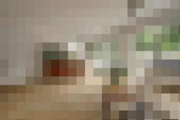 Bleijenbeekhof 32 Arnhem thumbnail 13