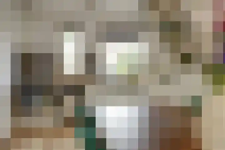 Bleijenbeekhof 32 Arnhem thumbnail 16