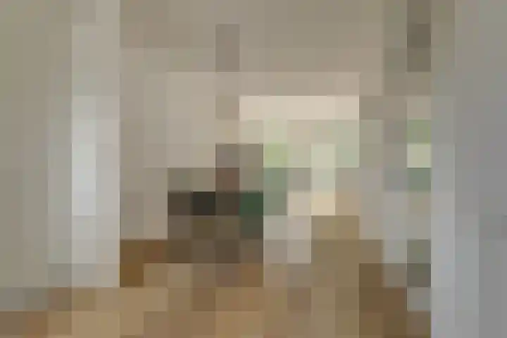 Bleijenbeekhof 32 Arnhem thumbnail 18