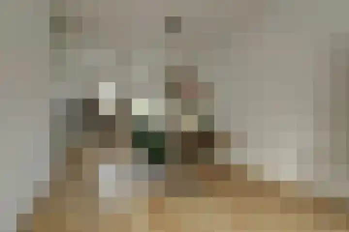 Bleijenbeekhof 32 Arnhem thumbnail 20