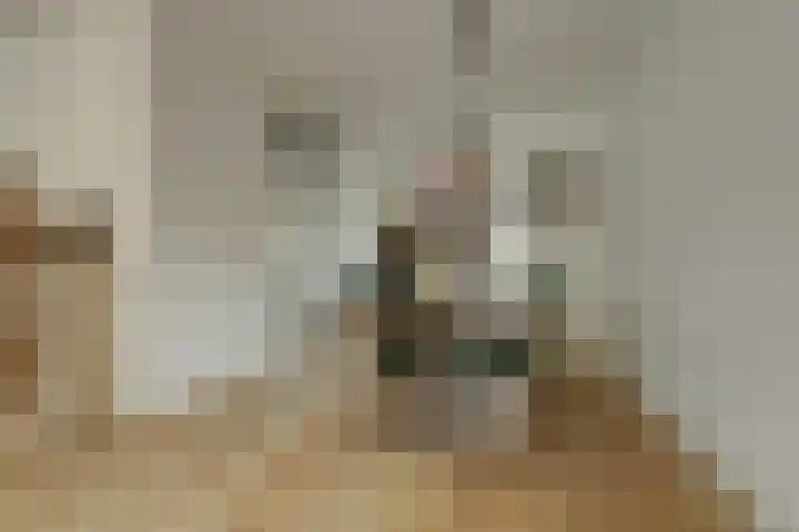 Bleijenbeekhof 32 Arnhem thumbnail 21