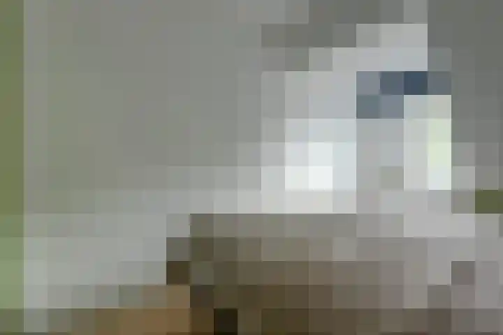 Bleijenbeekhof 32 Arnhem thumbnail 28