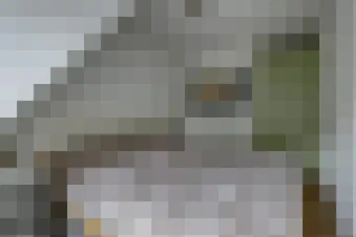 Bleijenbeekhof 32 Arnhem thumbnail 29