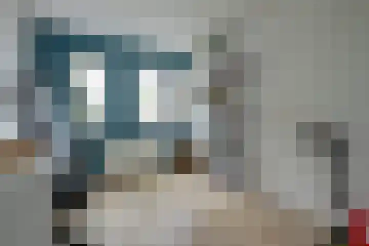 Bleijenbeekhof 32 Arnhem thumbnail 30