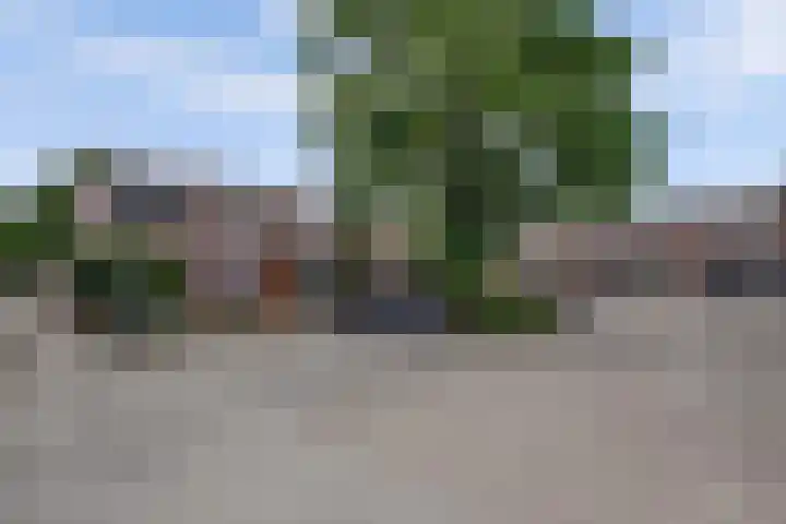 Bleijenbeekhof 32 Arnhem thumbnail 4