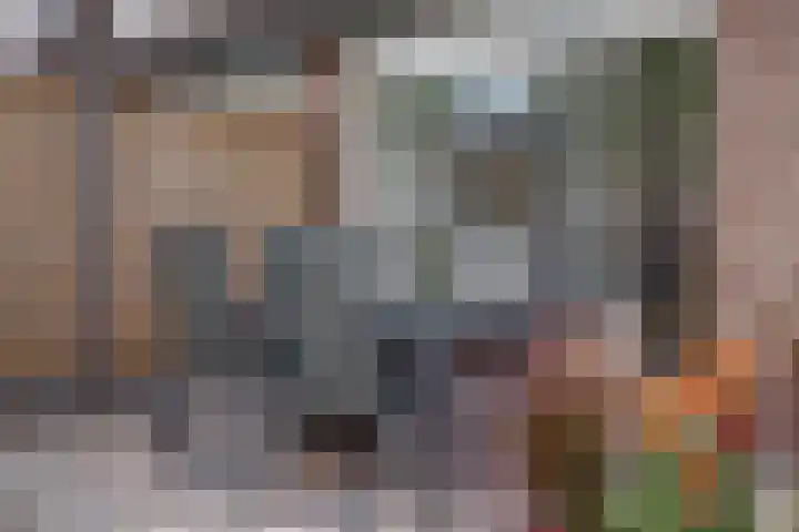 Bleijenbeekhof 32 Arnhem thumbnail 42