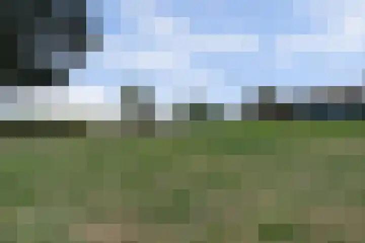 Bleijenbeekhof 32 Arnhem thumbnail 46