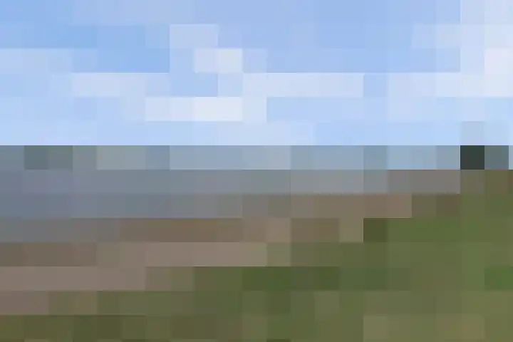 Bleijenbeekhof 32 Arnhem thumbnail 47