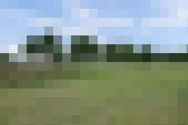 Bleijenbeekhof 32 Arnhem thumbnail 50