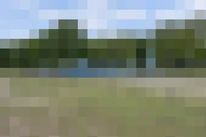Bleijenbeekhof 32 Arnhem thumbnail 52