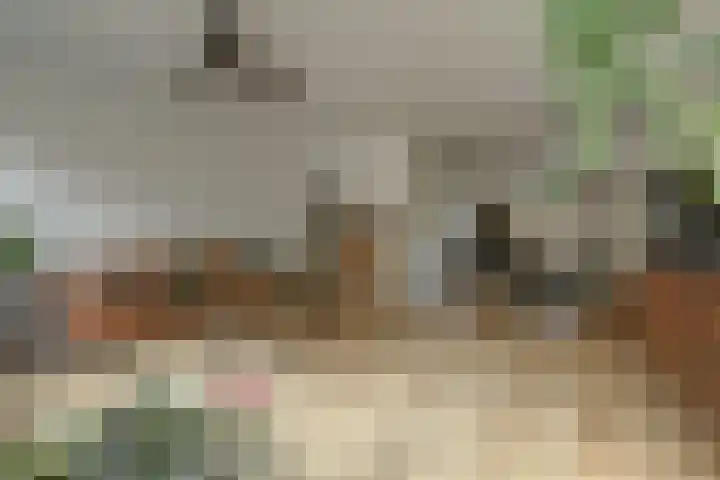 Bleijenbeekhof 32 Arnhem thumbnail 8