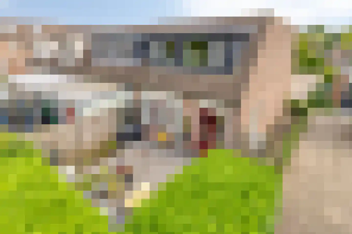 Bleijenbeekhof 9 Arnhem thumbnail 27