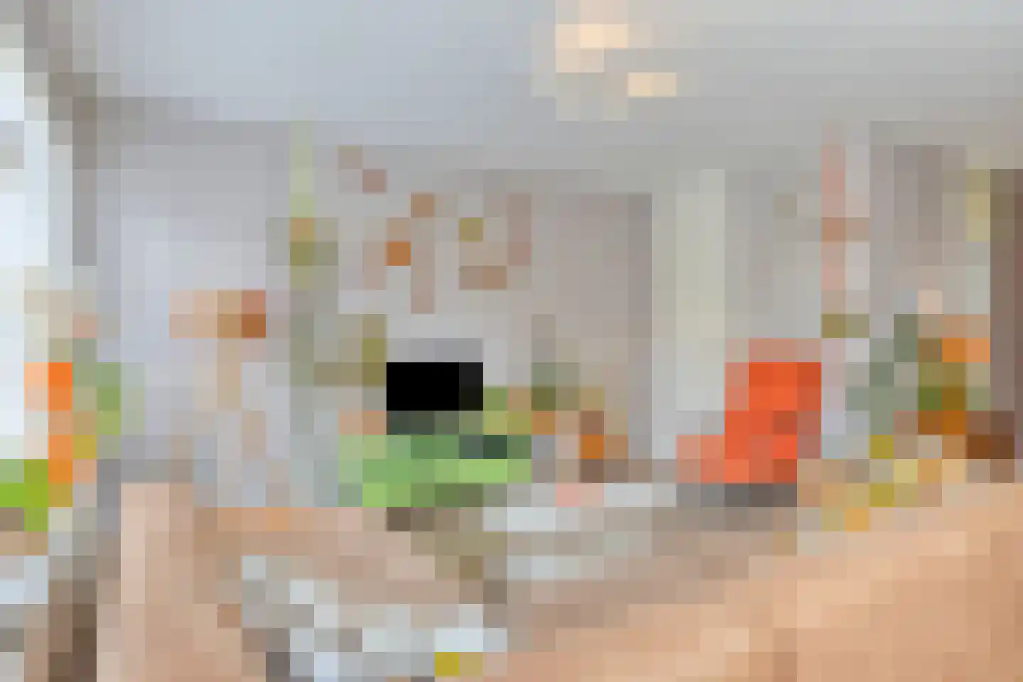 Bleijenbeekhof 9 Arnhem thumbnail 9