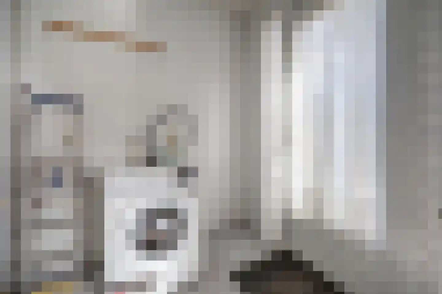 Bleijenburg 1 B De Lier thumbnail 15