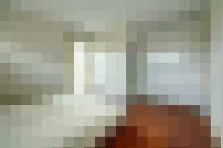 Bleijenburg 1 B De Lier thumbnail 17