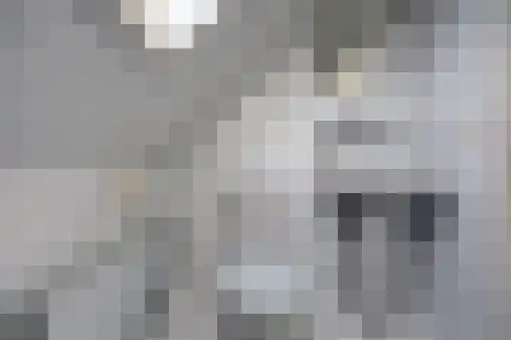 Bleijenburg 1 B De Lier thumbnail 29