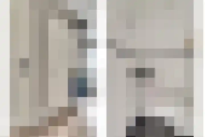 Bleijenburg 120 De Lier thumbnail 17