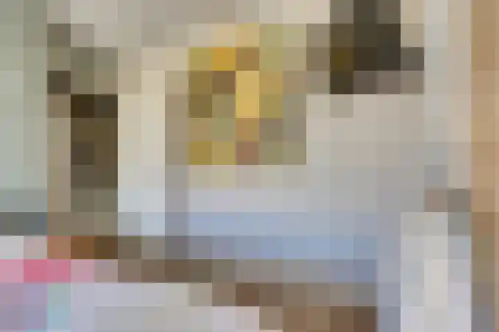 Bleijenburg 120 De Lier thumbnail 22