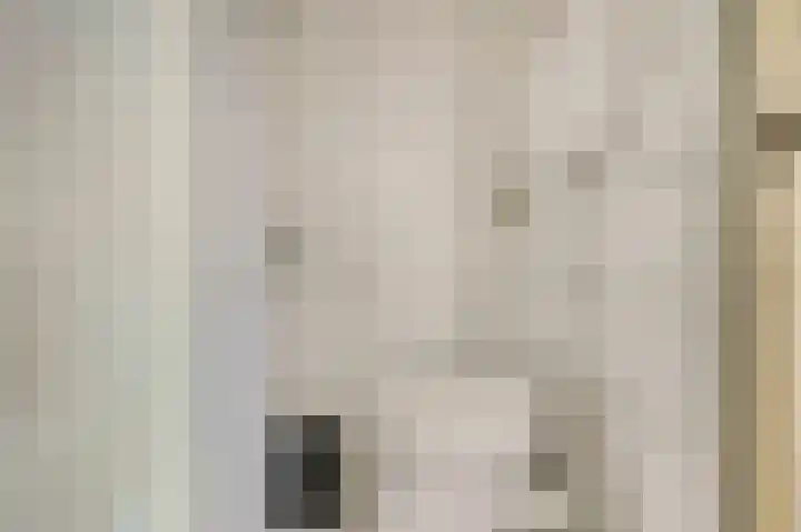 Bleijenburg 124 De Lier thumbnail 13