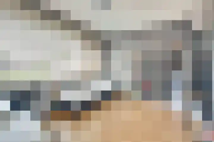 Bleijenburg 124 De Lier thumbnail 17