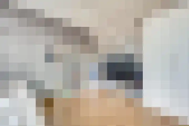 Bleijenburg 124 De Lier thumbnail 18
