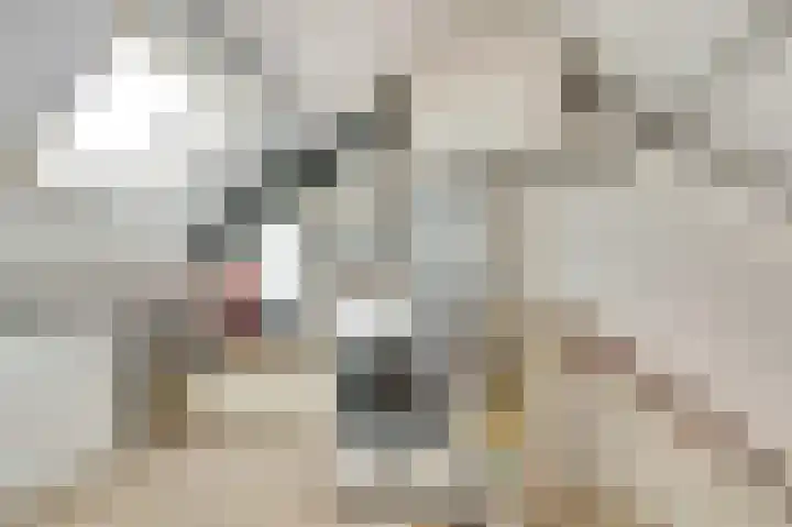 Bleijenburg 124 De Lier thumbnail 22