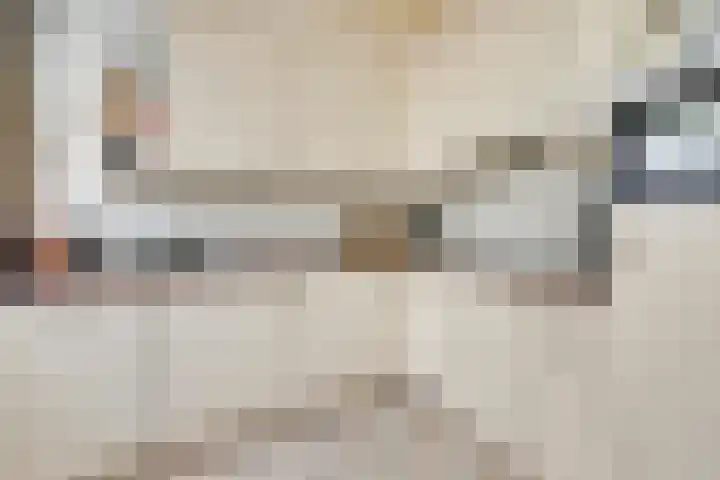 Bleijenburg 124 De Lier thumbnail 5
