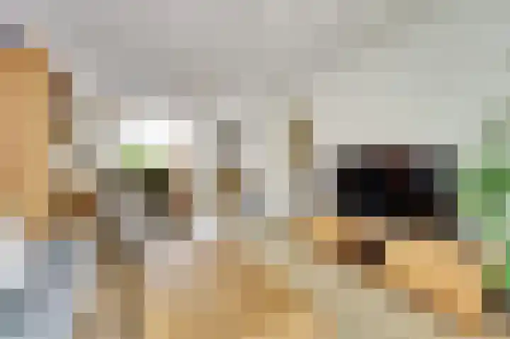 Bleijenburg 124 De Lier thumbnail 8