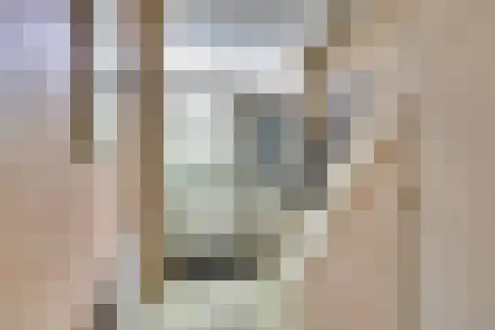 Bleijenburg 156 De Lier thumbnail 16