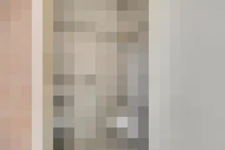 Bleijenburg 156 De Lier thumbnail 17