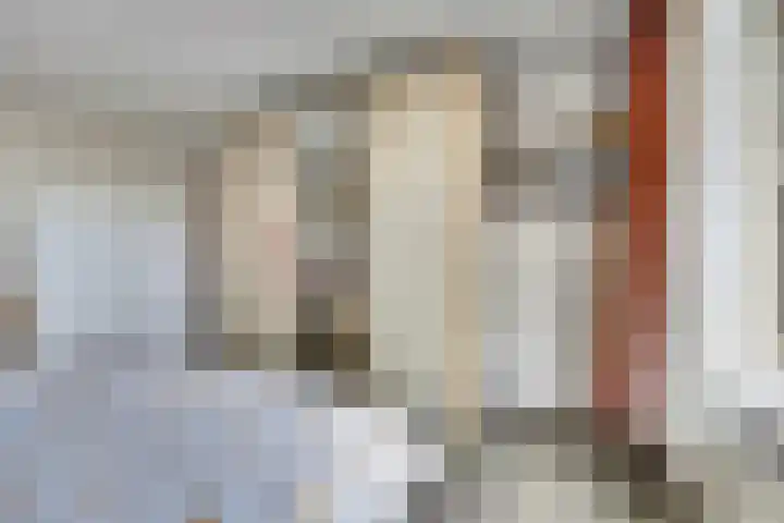 Bleijenburg 156 De Lier thumbnail 21