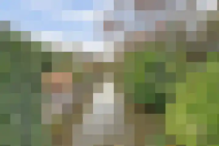 Bleijenburg 156 De Lier thumbnail 32