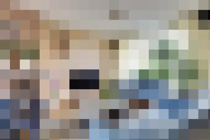 Bleijenburg 156 De Lier thumbnail 7