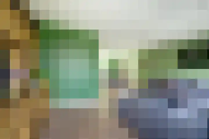 Bleijenburg 170 De Lier thumbnail 10