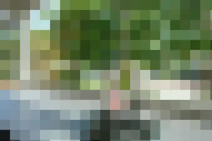 Bleijenburg 170 De Lier thumbnail 14