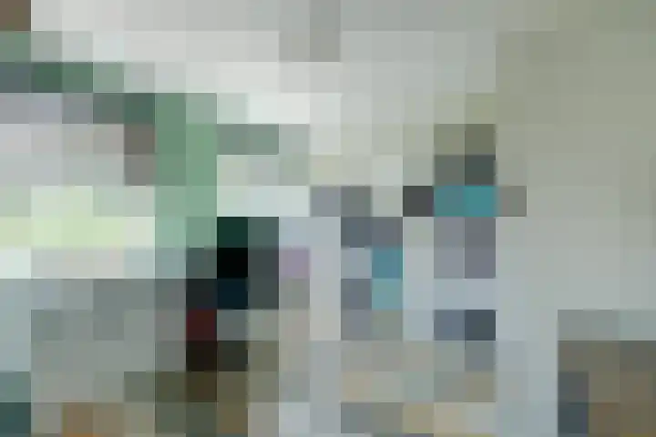 Bleijenburg 170 De Lier thumbnail 22