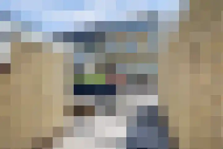 Bleijenburg 170 De Lier thumbnail 34