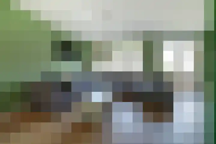 Bleijenburg 170 De Lier thumbnail 4