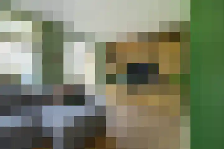 Bleijenburg 170 De Lier thumbnail 9