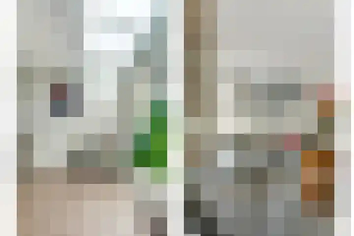 Bleijenburg 182 De Lier thumbnail 11