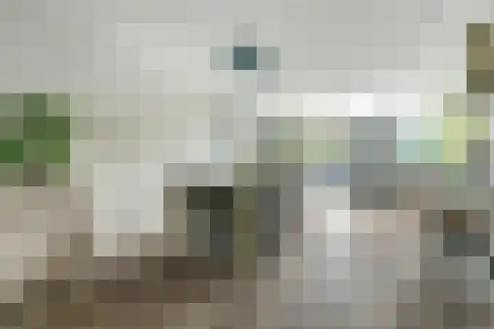 Bleijenburg 182 De Lier thumbnail 12