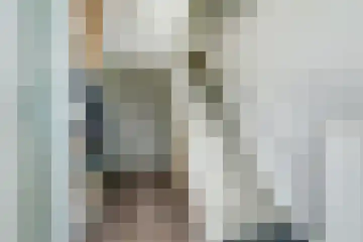 Bleijenburg 182 De Lier thumbnail 15