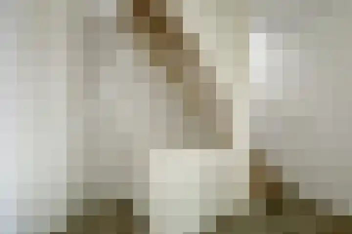 Bleijenburg 182 De Lier thumbnail 16