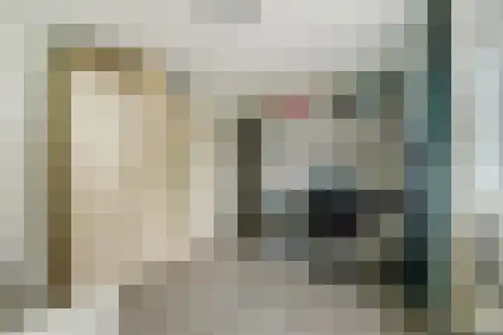 Bleijenburg 182 De Lier thumbnail 18