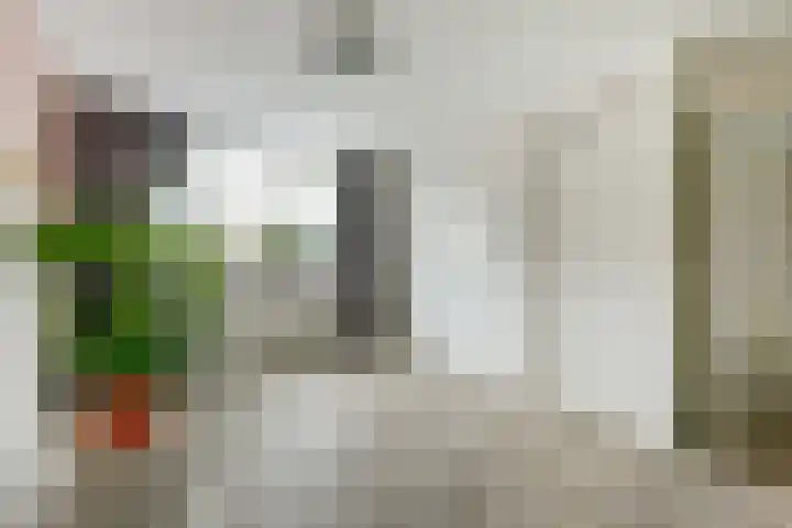 Bleijenburg 182 De Lier thumbnail 19