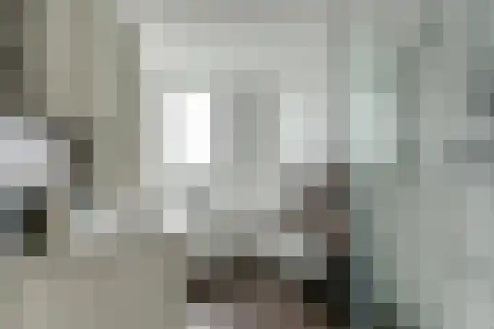 Bleijenburg 182 De Lier thumbnail 26